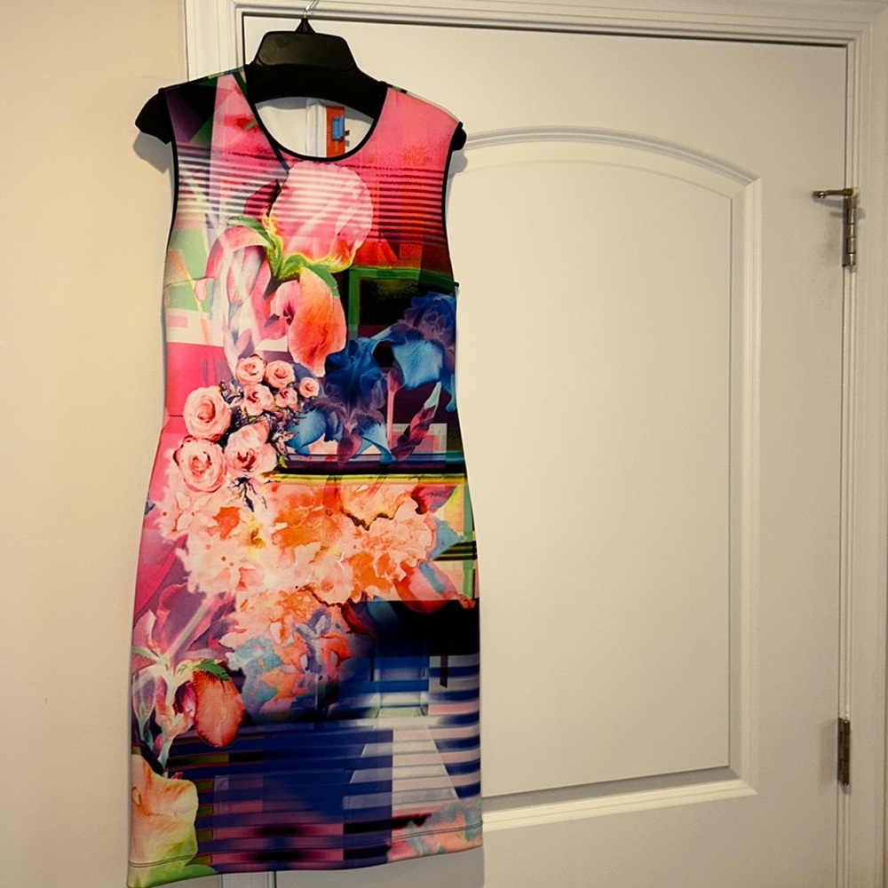 Clover Canyon dress